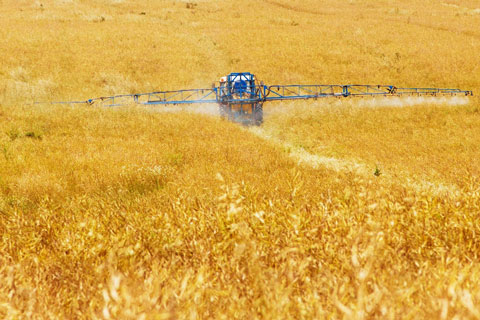 Flexible tank for liquid fertiliser storage